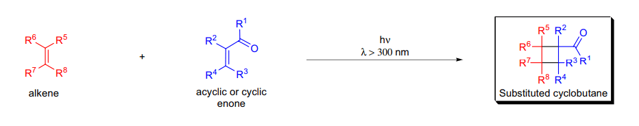 image443.png
