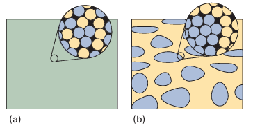 image-20251121160027643