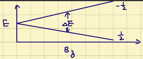 image-20260324174452693