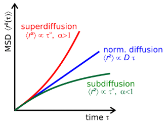 image-20251214180212489