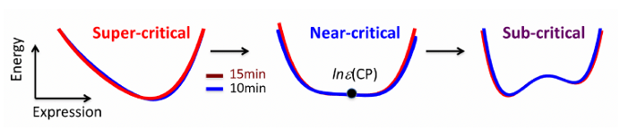 image-20260317131505136